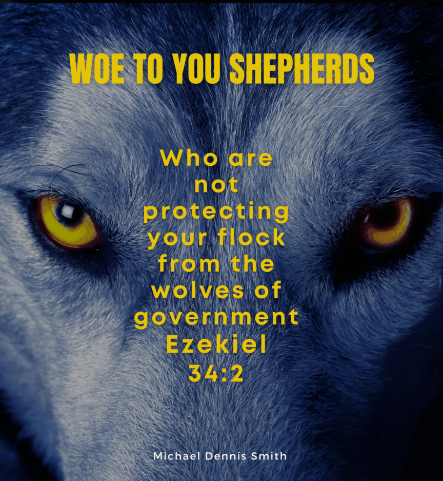 WTC Wolf Woe To You Shepherds | We The County